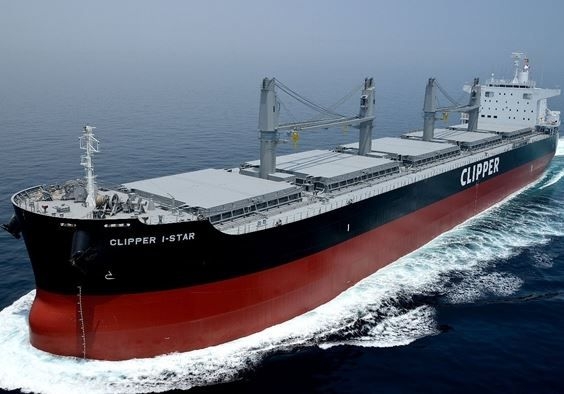 Indyjski gigant spedycyjny z kolejnym masowcem - GospodarkaMorska.pl