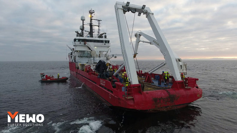 MEWO i DHI wspierają projekty morskich farm wiatrowych dbając o ochronę życia morskiego - GospodarkaMorska.pl