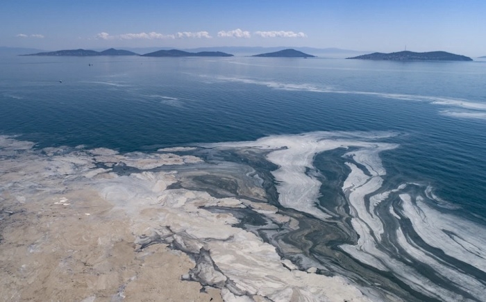 Turcja: Erdogan zapowiedział ochronę Morza Marmara przed plagą śluzu morskiego - GospodarkaMorska.pl