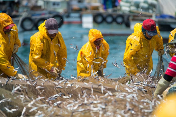 Morze Czarne przełowione? Ekologiczny i ekonomiczny kryzys - GospodarkaMorska.pl