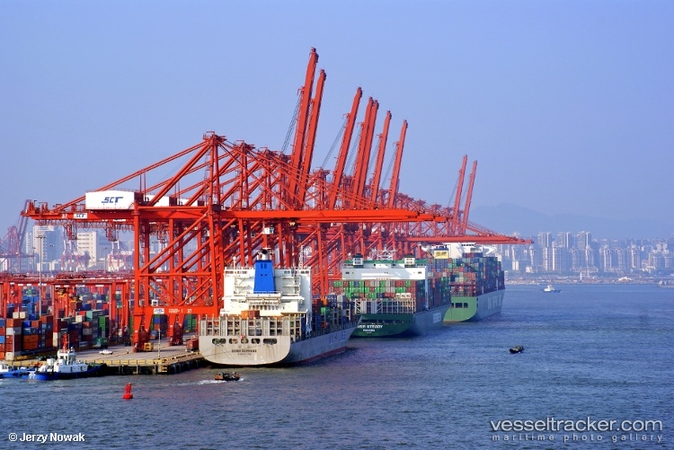 Chiny: Ogniska Covid-19 w portach windują ceny transportu, zakłócają dostawy towarów - GospodarkaMorska.pl