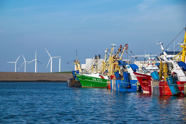 Parlament Europejski ostrzega przed negatywnym wpływem morskich farm wiatrowych na rybołówstwo - GospodarkaMorska.pl