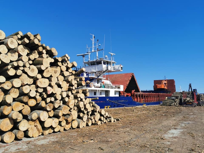 Port Kołobrzeg. Podsumowanie przeładunków w II kwartale 2021 - GospodarkaMorska.pl