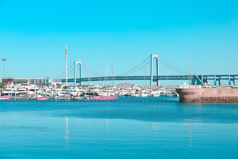 Japonia. Ryby z nielegalnych połowów trafiają do sklepów - GospodarkaMorska.pl