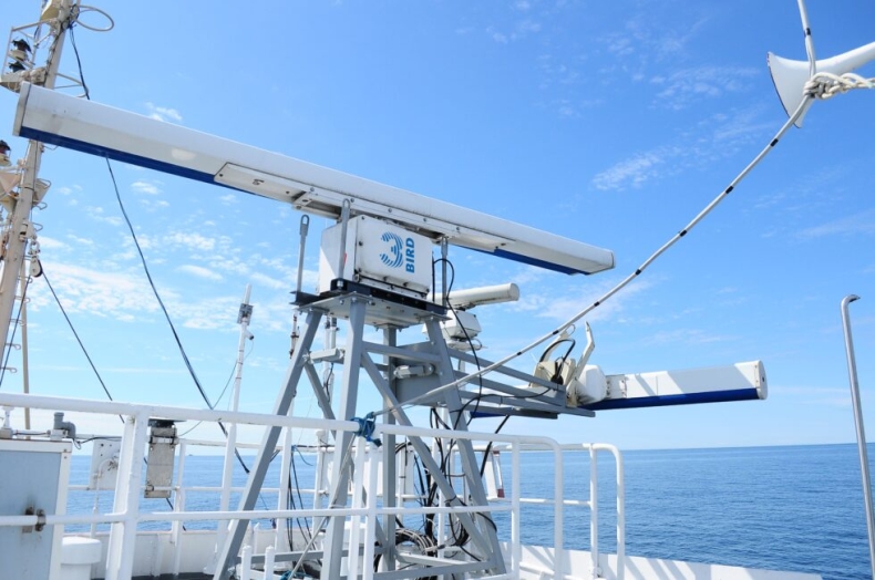 3Bird Radar System zaprasza. Zapisz się na seminarium dotyczące migracji ptaków - GospodarkaMorska.pl