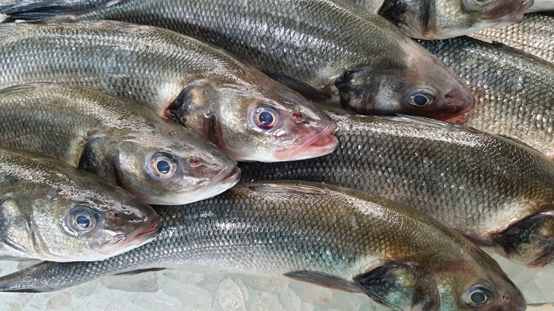 "Puls Biznesu": ryby podrożeją - GospodarkaMorska.pl