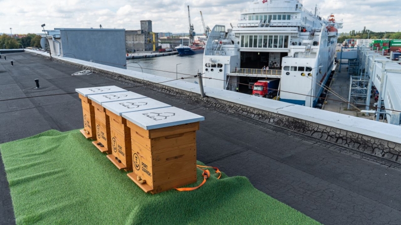 Ule w Porcie Gdańsk. Pierwsze pasieki już na dachu terminala [WIDEO, ZDJĘCIA] - GospodarkaMorska.pl