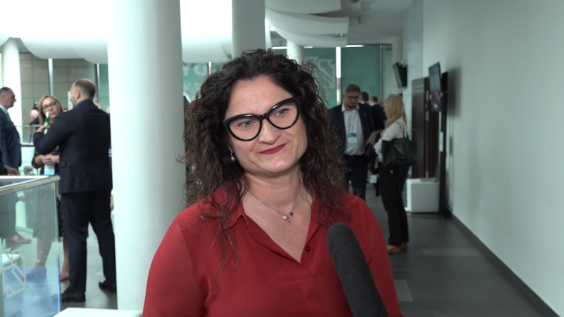 Polski przemysł zyska na rozwoju morskich farm wiatrowych. Dziś branża liczy około 400 firm - GospodarkaMorska.pl