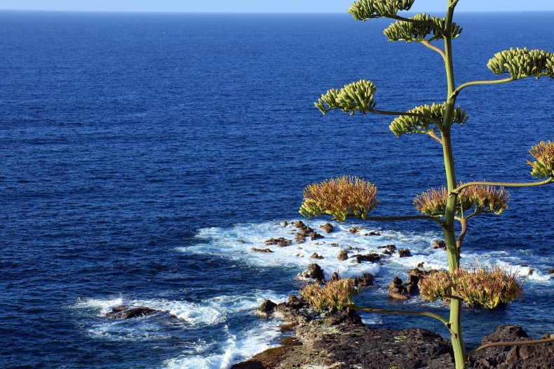 UE wesprze rozwój OZE i niebieskiej gospodarki na Atlantyku, Morzu Czarnym i Śródziemnomorskim - GospodarkaMorska.pl