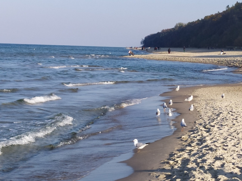 Zachodniopomorskie. Sezon letni w branży turystycznej lepszy niż zakładano - GospodarkaMorska.pl