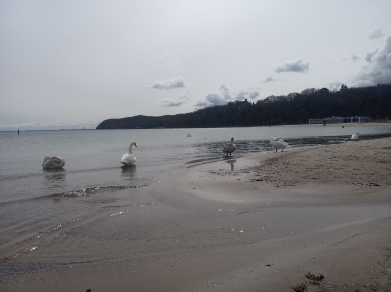 Prawo morskie nie tylko dla prawników - GospodarkaMorska.pl