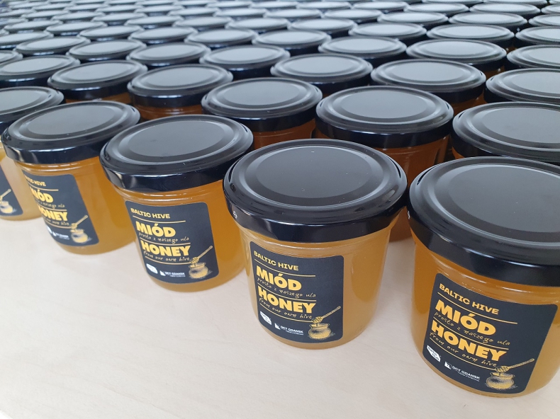 DCT ma już swój miód lipowy. Pszczoły zebrały 30 kilogramów złocistego nektaru - GospodarkaMorska.pl