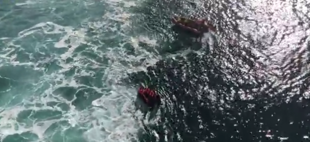 Znów rekordowa liczba nielegalnych imigrantów w kanale La Manche - 853 - GospodarkaMorska.pl