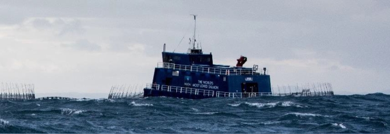 Zielona energia z fal zasili statki   - GospodarkaMorska.pl