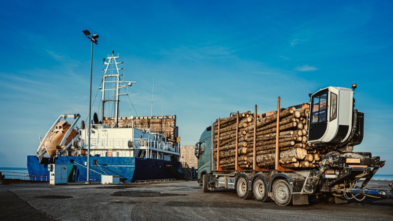 UE chce ograniczyć import towarów związanych z wylesianiem - GospodarkaMorska.pl