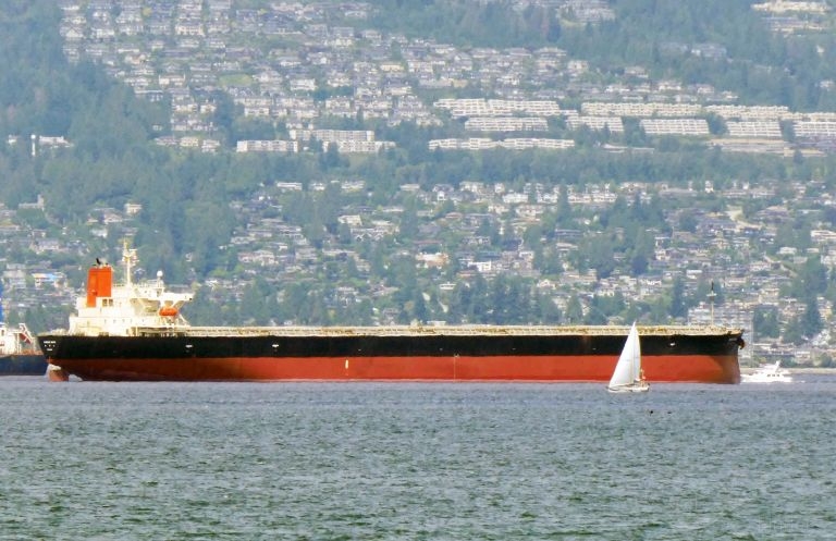 250-metrowy masowiec pod technicznym zarządem armatorskim Żeglugi Gdańskiej - GospodarkaMorska.pl