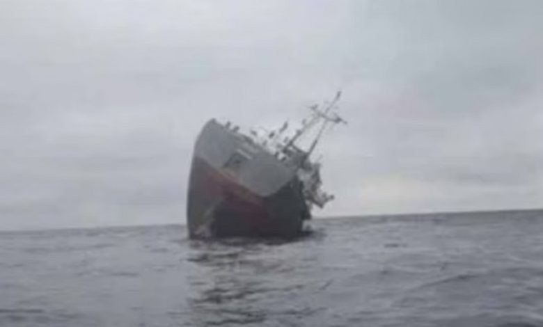 Estoński statek zatonął niedaleko portu w Odessie - GospodarkaMorska.pl