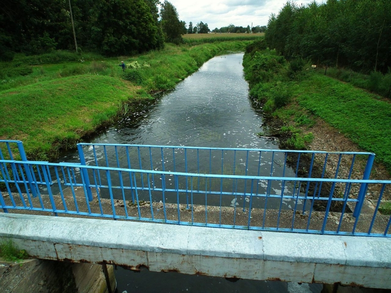 Hydrolog z IMGW: susza zagraża polskim rzekom; pustynnieją obszary kilku regionów - GospodarkaMorska.pl