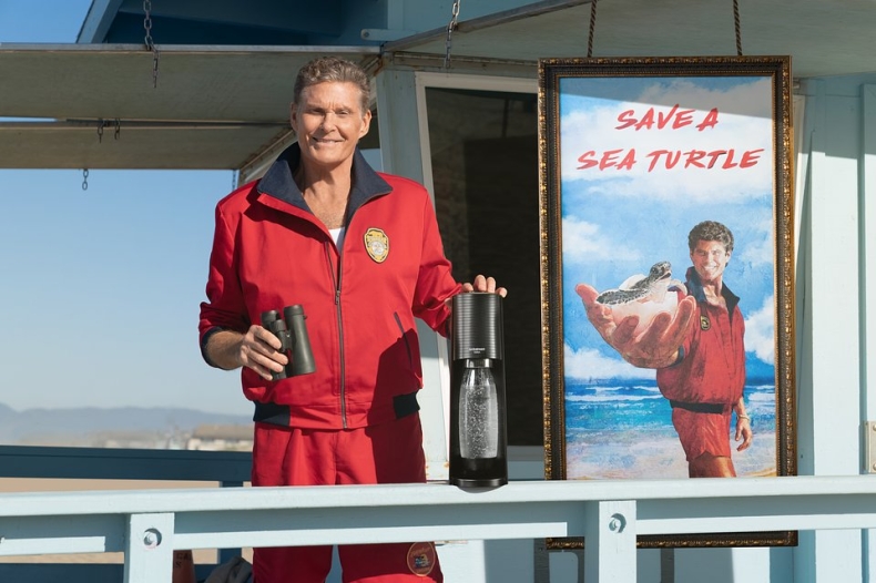 Z okazji Dnia Ziemi uratowali już prawie milion żółwi morskich. Pomógł David Hasselhoff - GospodarkaMorska.pl
