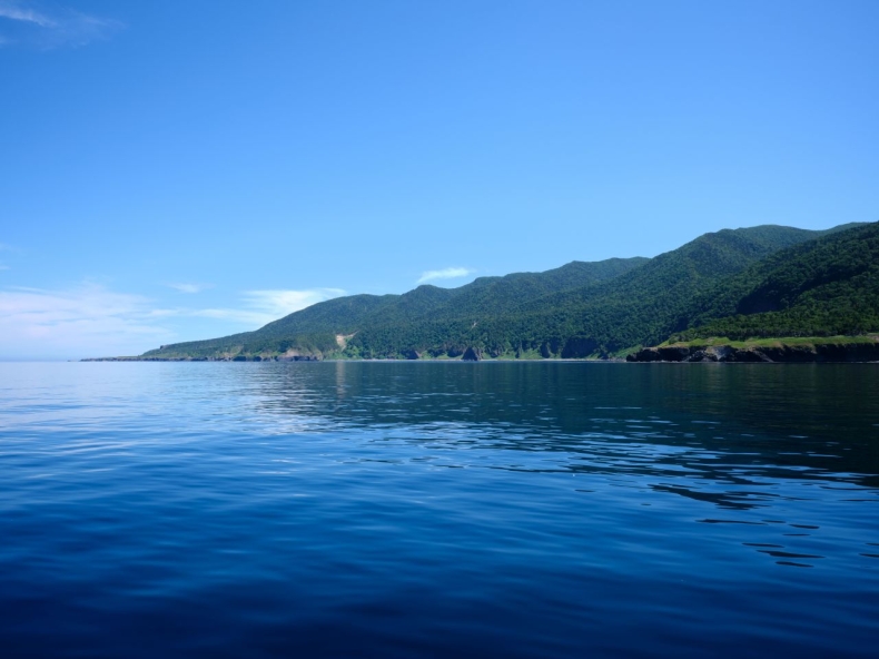 Japonia. Znaleziono ciała 10 osób ze statku wycieczkowego, który zatonął w sobotę - GospodarkaMorska.pl