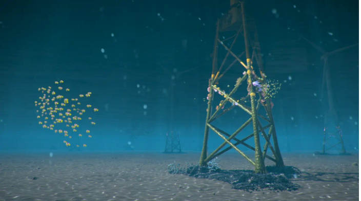 Ørsted testuje fundamenty morskich turbin wiatrowych jako schronienie dla koralowców - GospodarkaMorska.pl