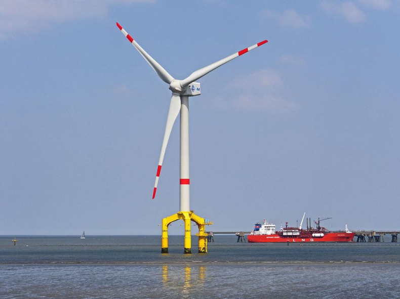 Wielka Brytania zbada wpływ offshore wind na życie morskie - GospodarkaMorska.pl