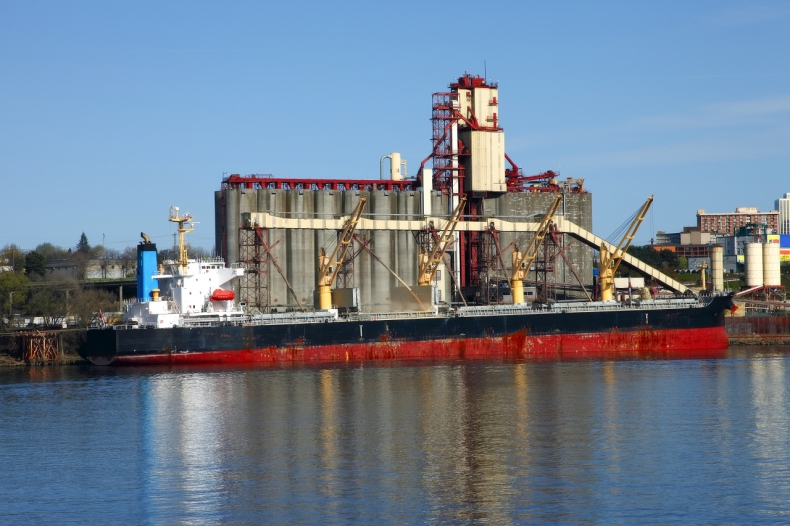 Najgorsza faza kryzysu żywnościowego może dopiero nastąpić. Jak uratować ukraińskie zboża? - GospodarkaMorska.pl