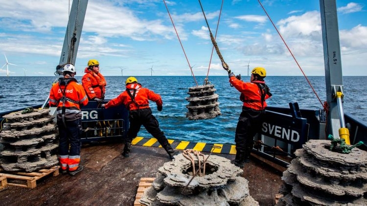 Wydrukowane w 3D rafy mają zwiększyć bioróżnorodność na terenie farmy wiatrowej - GospodarkaMorska.pl