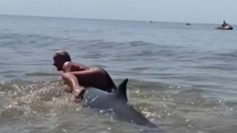 Kobieta weszła na grzbiet wieloryba, trafiła do aresztu. Policja sprawdza, czy to karalne - GospodarkaMorska.pl