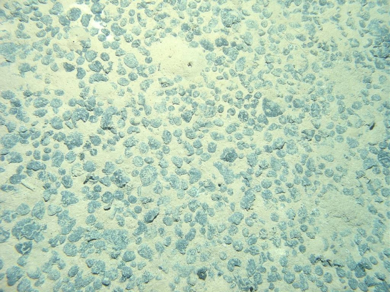 Umowa na pierwsze badania zasobów polskiej koncesji na dnie Atlantyku - GospodarkaMorska.pl