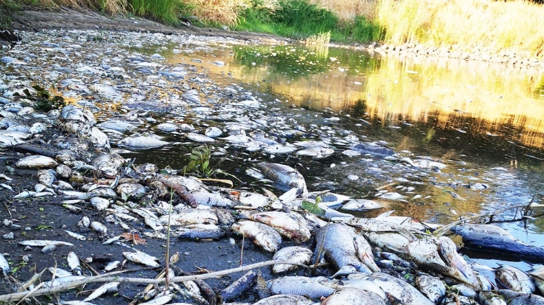 Zatrucie Odry, najnowsze informacje - wtorek 16 sierpnia - GospodarkaMorska.pl