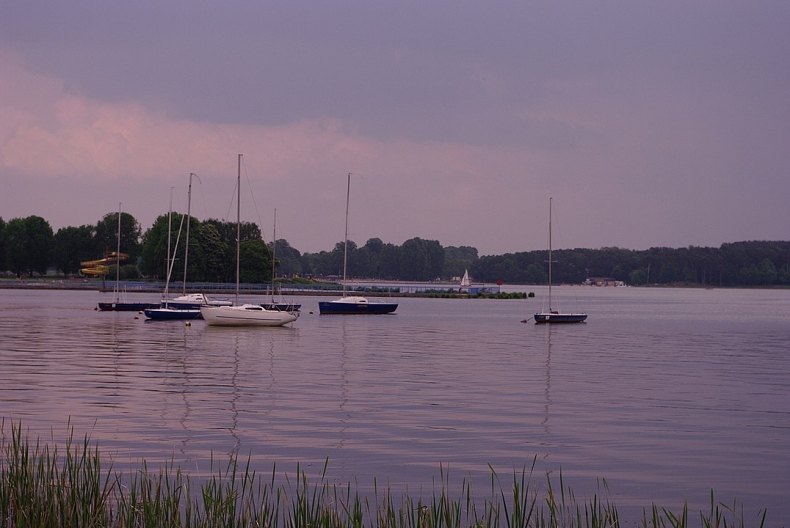 Ponad pół tony śniętych małż zebrano w weekend nad Zalewem Zemborzyckim - GospodarkaMorska.pl