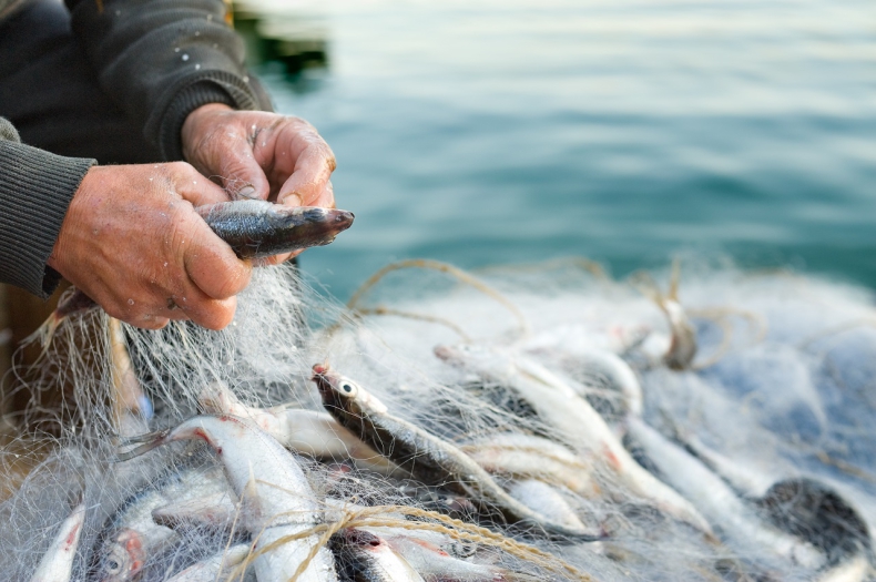 Ciecióra: Będą wypłacane rekompensaty dla rybaków - GospodarkaMorska.pl