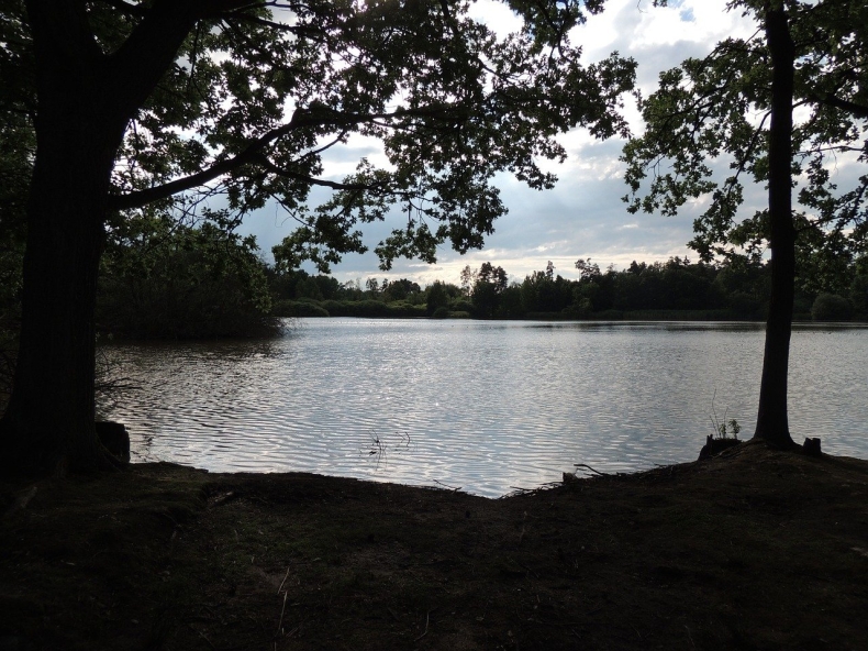 Prof. Napiórkowska-Krzebietke: to, czy ekosystem poradzi sobie z toksycznymi algami, zależy od warunków środowiskowych w Odrze - GospodarkaMorska.pl