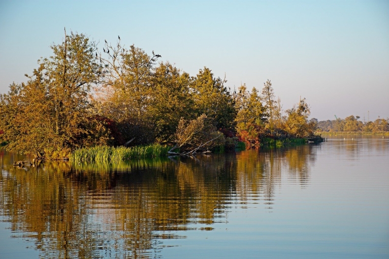 Ekspert: rekultywacja Odry zajmie przynajmniej pięć lat - GospodarkaMorska.pl