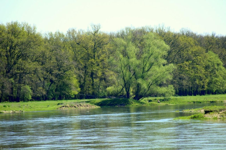 Minister Maląg: Wsparciem może zostać objętych ok. 10 tys. podmiotów działających nad Odrą - GospodarkaMorska.pl