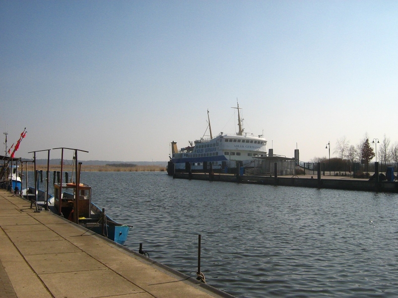 W niemieckiej części Zalewu Szczecińskiego wykryto złote algi - GospodarkaMorska.pl