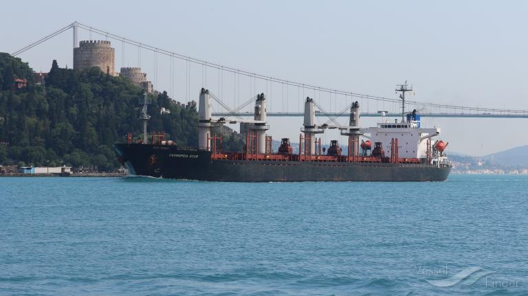 Przywrócono żeglugę przez Bosfor po odholowaniu statku z ukraińskim zbożem - GospodarkaMorska.pl