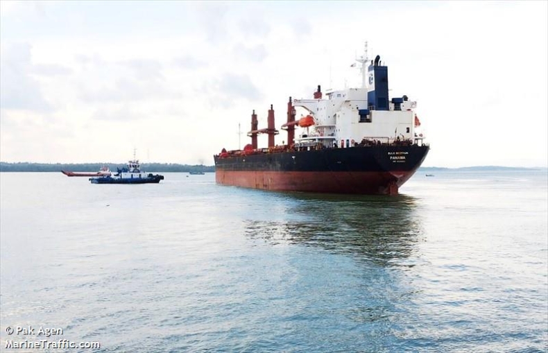 Liberia. Dwóch pasażerów na gapę zginęło na statku, dwunastu uratowano - GospodarkaMorska.pl