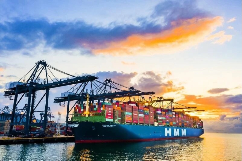 Europejscy armatorzy i firmy logistyczne zyski inwestują w Afryce i Azji. CME CGM oraz AP Maersk nie zwalniają ekspansji - GospodarkaMorska.pl