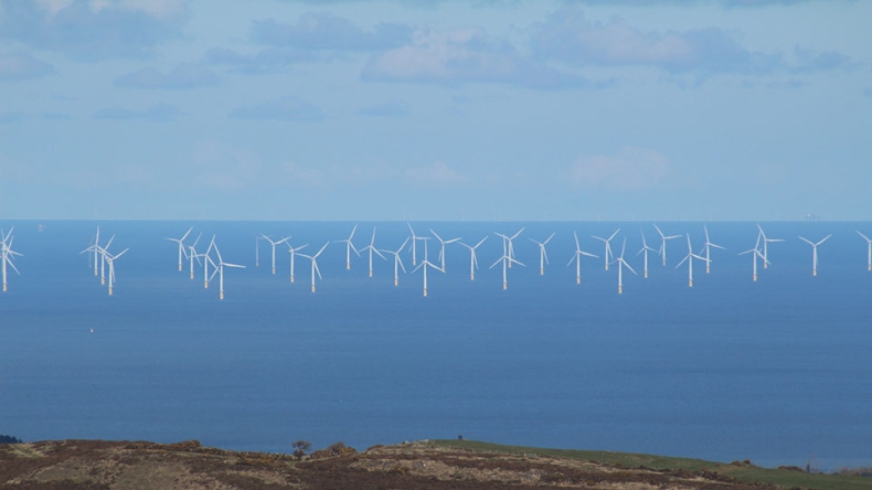 Brytyjczycy chcą zbadać wpływ offshore wind na bioróżnorodność morską  - GospodarkaMorska.pl