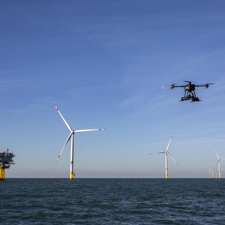 Otary przygotowuje ofertę dla belgijskiej morskiej energetyki wiatrowej - GospodarkaMorska.pl