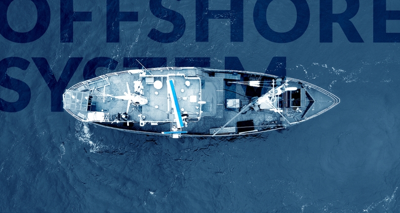 3Bird podsumowuje morskie badania ptaków - GospodarkaMorska.pl