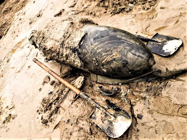 250-kilogramowa bomba znaleziona przy gdyńskim porcie - GospodarkaMorska.pl