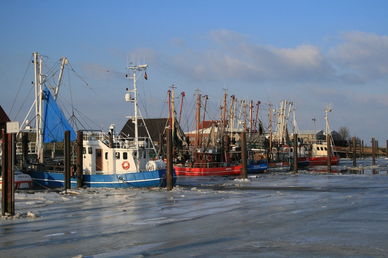 Grenlandia zawiesza porozumienie połowowe z Rosją, Wyspy Owcze - przedłużają - GospodarkaMorska.pl