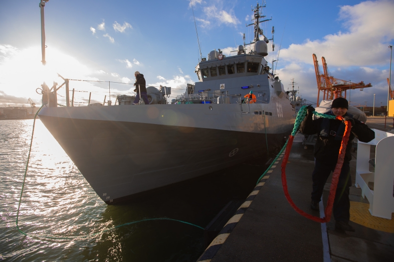 Mewa w Porcie Wojennym Gdynia - GospodarkaMorska.pl