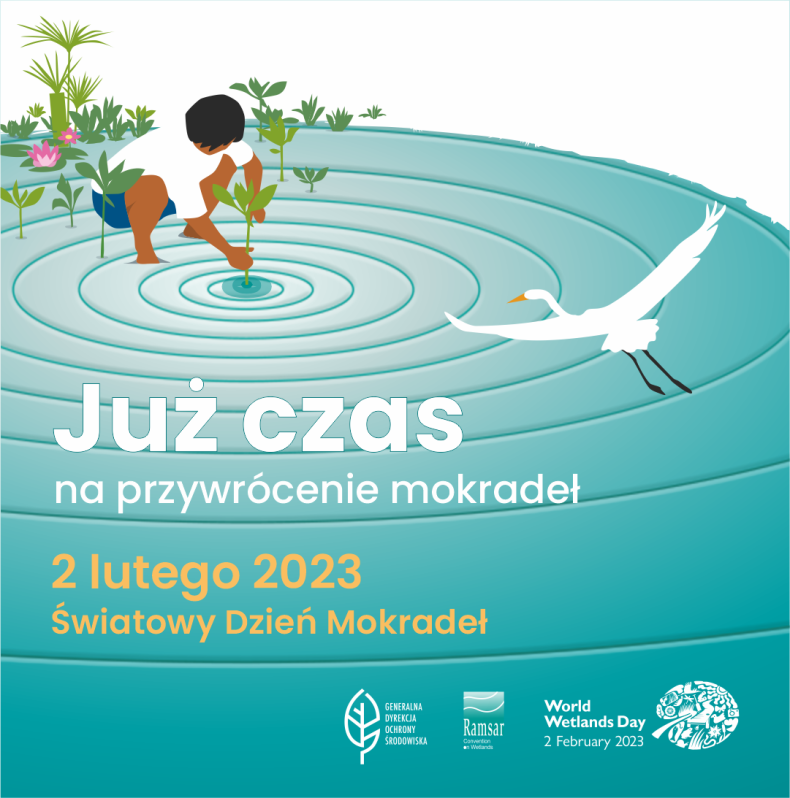 Światowy Dzień Mokradeł 2023 - GospodarkaMorska.pl
