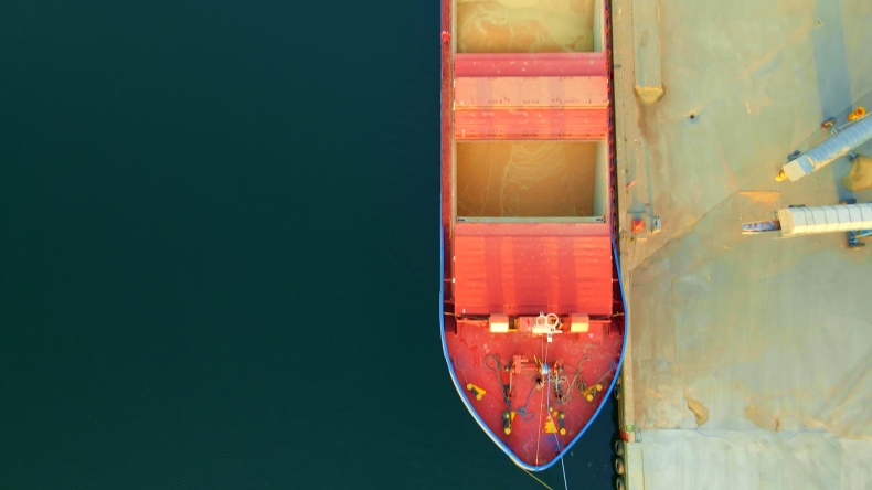 W lutym eksport zbóż drogą morską będzie większy niż w styczniu - GospodarkaMorska.pl