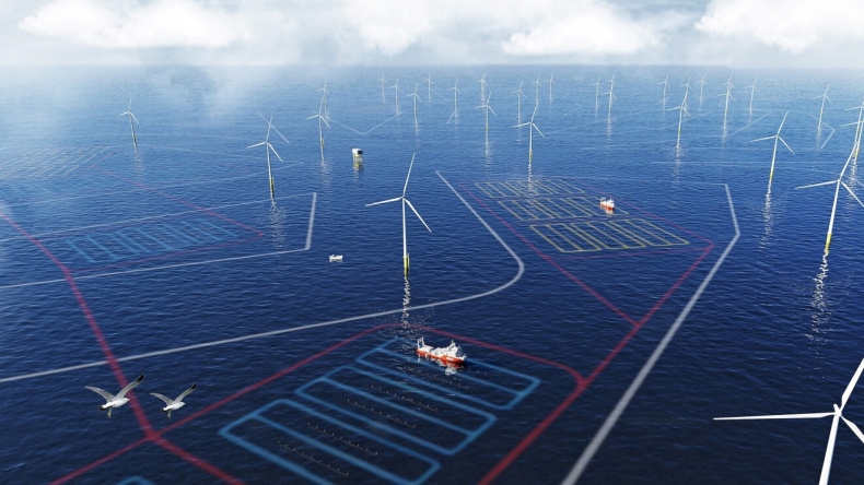 Amazon sfinansuje uprawę wodorostów na terenie morskich farm wiatrowych - GospodarkaMorska.pl