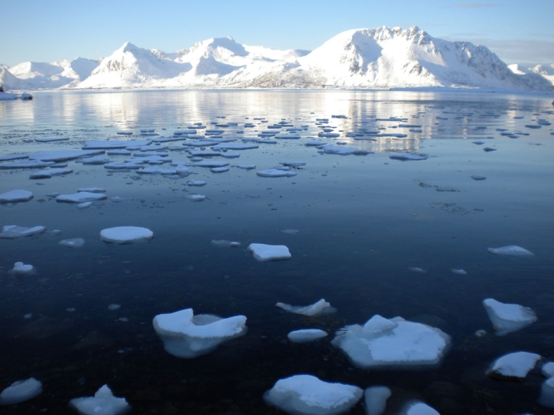 Kanadyjska armia wyłowiła w Arktyce chińskie boje monitorujące - GospodarkaMorska.pl